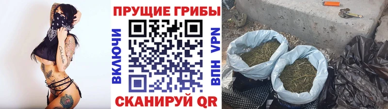 ссылка на мегу вход Щёлково Псилоцибиновые грибы прущие грибы